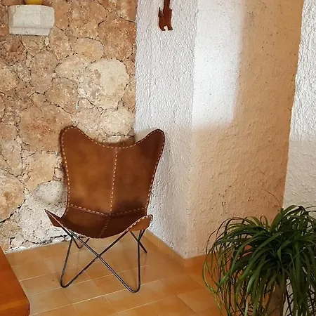 Ikker - Seaside Stanici